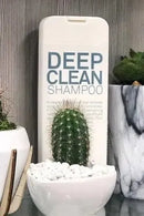 Shampoo bottle labeled 'Deep Clean Shampoo' with cacti in the background - Hair Care Canada